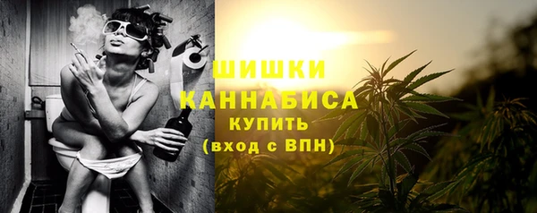 дурь Вяземский