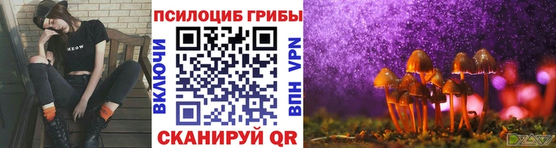 Купить где  Костерёво  Псилоцибиновые грибы прущие грибы 